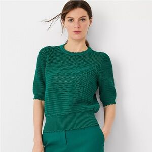 Ann Taylor Scalloped Mixed Stitch XS Sweater, Short Sleeve.